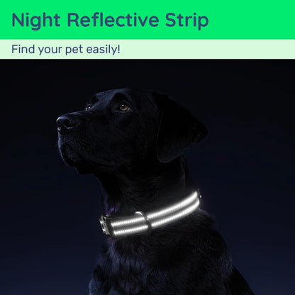 Waterproof Air Tag Dog Collar with Airtag Holder, Reflective Soft Padded & Safety Buckle, Airtag Pet Collar Adjustable for Dogs